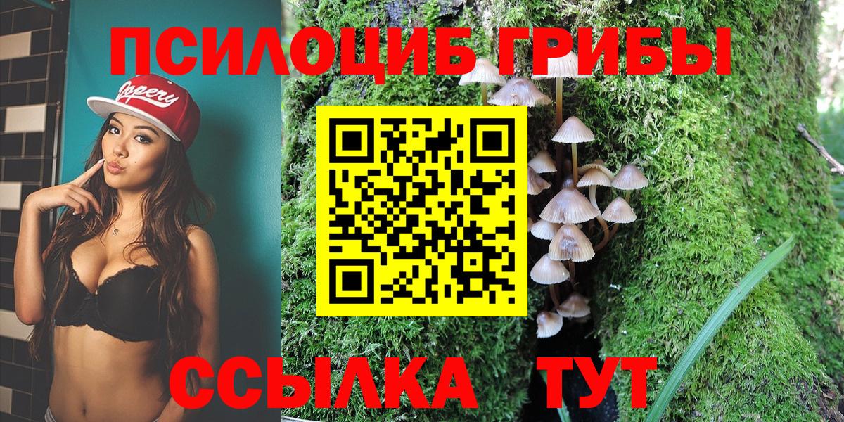 Псилоцибиновые грибы мухоморы Красноярск