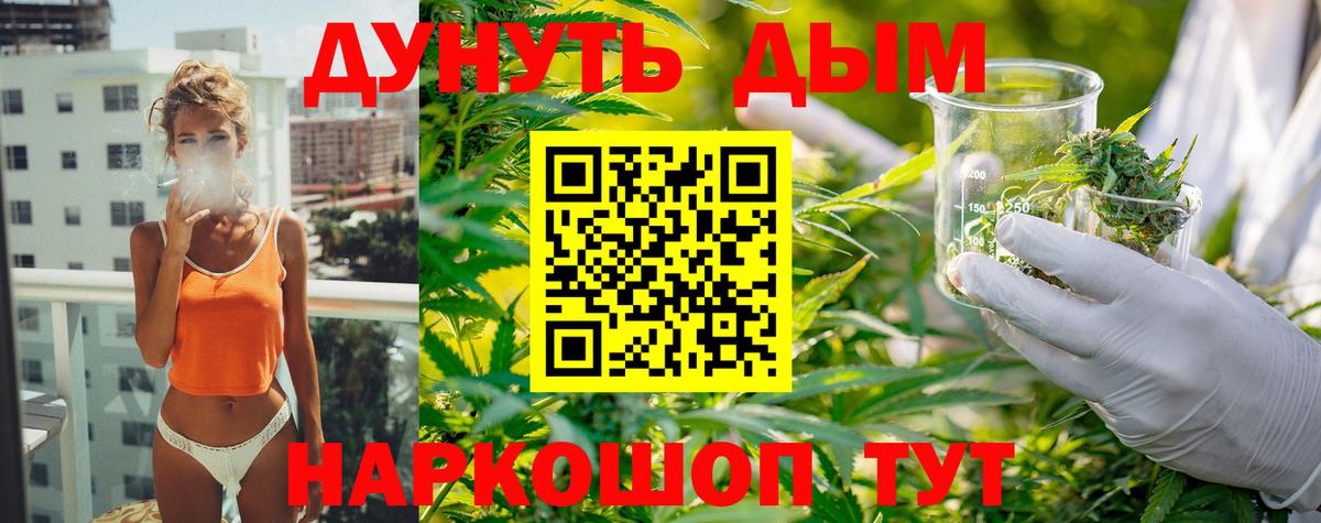 Конопля SATIVA & INDICA Красноярск