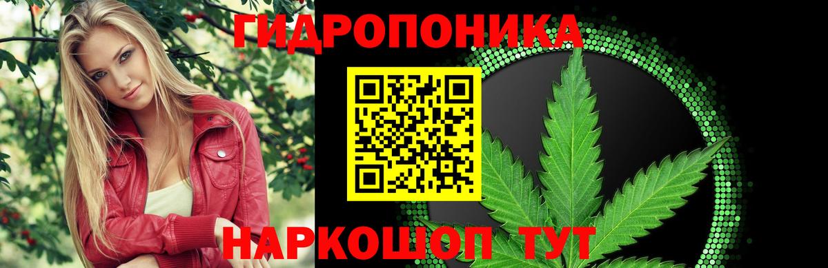 Красноярск  Марихуана White Widow  Бошки Шишки индика  Конопля Bruce Banner  Вход с VPN 
